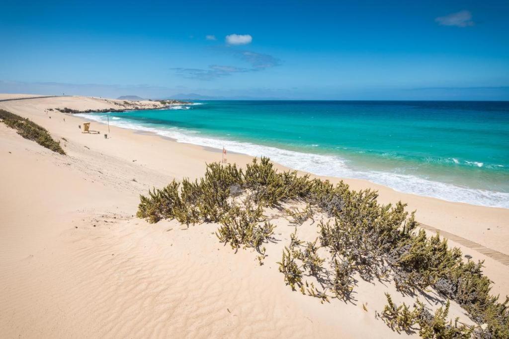 Los Majos Fuerteventura Tarajalejo Exteriör bild